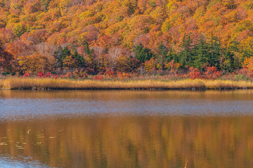 Towada Hachimantai National Park in autumn