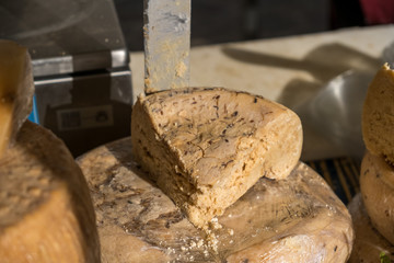 Traditional Sardinian cheese with worms. Banned and illegal cheese with flies and worms inside.