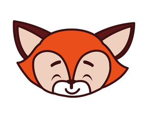 head of cute fox in white background