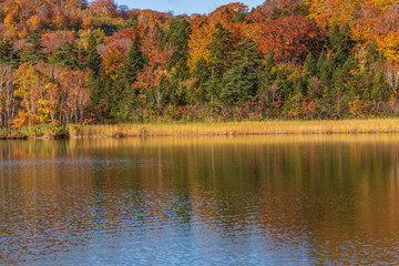 Towada Hachimantai National Park in autumn