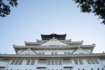 Fototapeta premium 大阪城 天守閣