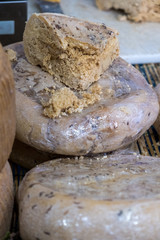 Traditional Sardinian cheese with worms. Banned and illegal cheese with flies and worms inside.