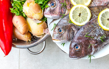 Fresh red snapers on a plate. Sea food serving arranged with lemon,rosemary and potato and red pepper.