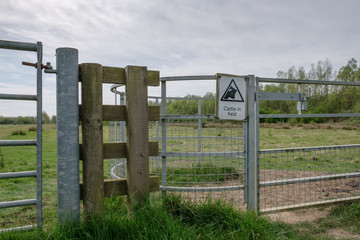  Improvised Cattle sign showing the head of a large bull, warning walkers, especially dog owners, to keep to the allocated path.