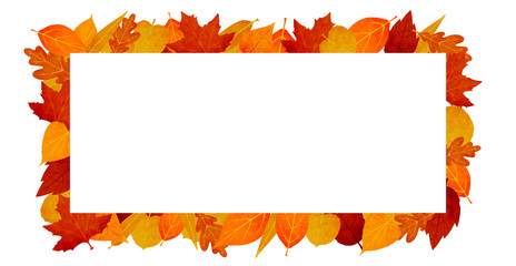 Autumn leaves blank frame. Vector illustration
