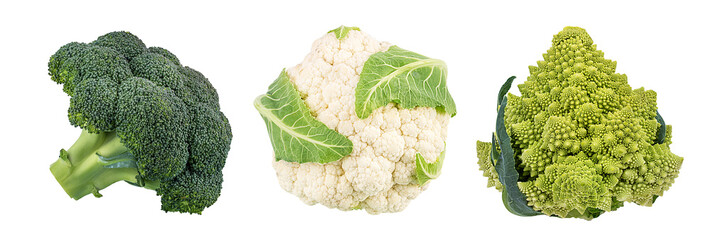 Fresh cauliflower broccoli, romanesco isolated on white background with clipping path