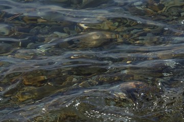 coastal sea stones under vibrant clear water