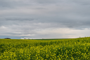 Obraz premium Baden-Wuerttemberg nature and Agriculture. Countryside near Elchingen at Neresheim.