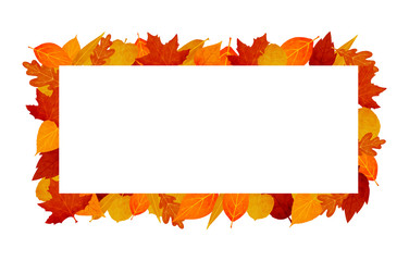 Horizontal banner for autumn sale. Vector illustration with autumn leaves of rowan, maple, linden and oak on white background. Seasonal discount offer.