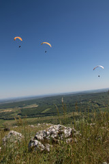 Paragliders above south moravia, Pálava, czech republic