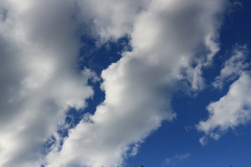 Fototapeta premium Blue sky with cloud