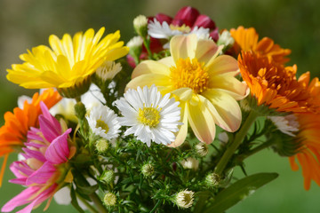autumnal colorful bunch of flowers with asters and dahlias