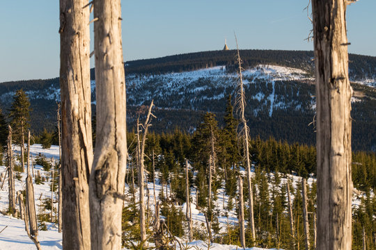 Black Mountain, Krkonose, Cerna Hora