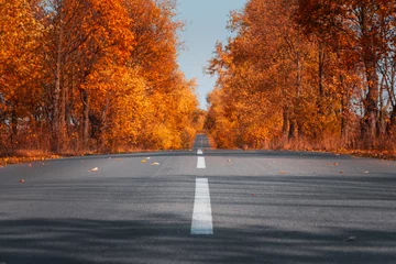 Fleecedeken met foto Empty asphalt road in autumn forest. Autumnal background © thayra83