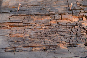 Abstract old wood texture. Rough brown texture. Old board with cracks and nails. Close-up, top view, horizontal, cropped shot. Design and construction concept.