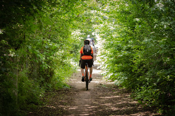 Male mountain biker seen following a forest path in early summer. The distance shows some horse riders also using the same forest path.