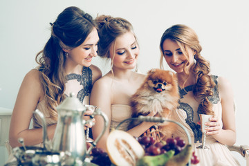 bride with her friends and beloved pet during the bachelorette party