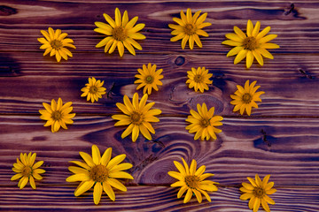 yellow flowers on wooden background