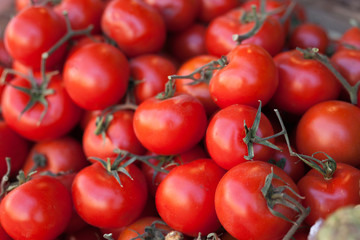 red fresh tomatoes on branch in wicker baskets on counter