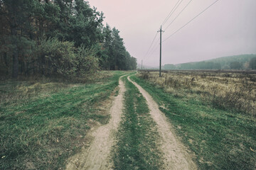 Country road in the meadow and forest on the one side in the foggy weather