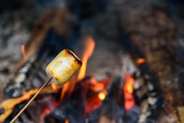 Roasted marshmallow on fire