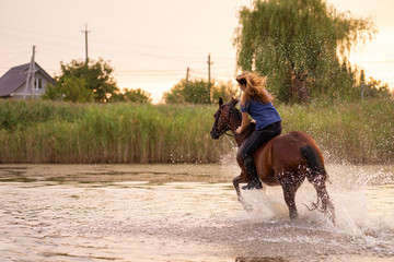 A young girl riding a horse on a shallow lake. A horse runs on water at sunset. Care and walk with the horse. Strength and Beauty