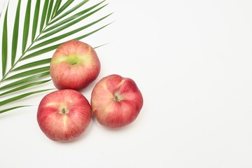 Studio shot of three apples on white background with areca palm leaf decoration.