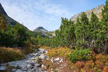 Fototapeta na wymiar The yellow hiking trail to the Skok waterfall in High Tatras National park, Slovakia
