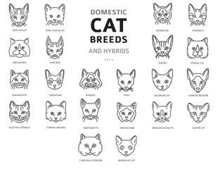 Domestic cat breeds and hybrids linear portraits collection isolated on white. Simple line cat`s head style set