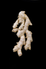 Fresh ginger root over a black background.