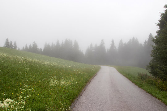 Misterious foggy road in Austrian cantry side. Woodland and meadow landscape in a fog. Nature trevel background.