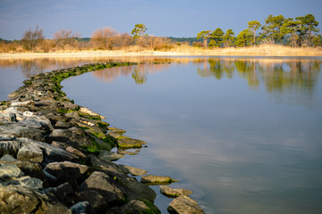 The Jetty