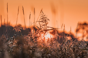 sonnenaufgang