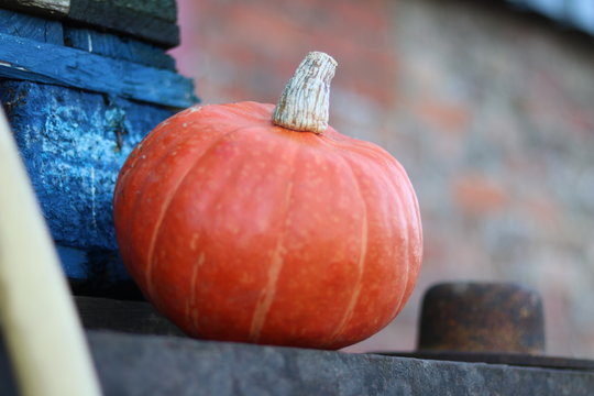 A pumpkin used as decoration on a farm 