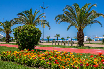 View of beautiful promenade in Batumi, Georgia, with bike path, palm trees, lawns with green grass and colorful blooming flowers. Summer cityscape with beach, blue sky and sea on the horizon.