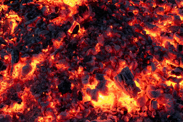 Żar z ogniska, popiół i żarzące się drewno. Bonfire, ash and glowing wood - obrazy, fototapety, plakaty