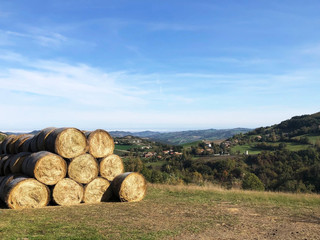 bales of hay in field across mountain hills in Italian Alps. Harvest concept