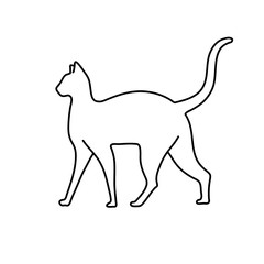 creative Cat drawn lines art image vector illustration