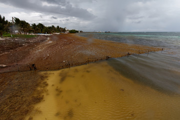 Plaża w Meksyku © Miroslaw