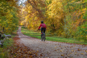 nice senior woman riding her electric mountain bike in a colorful autumn forest of the swabian Alb, Baden Wuerttemberg,Germany