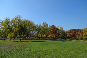 View through the green grass to the trees in the Park.