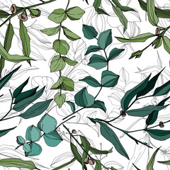 Vector Eucalyptus tree leaves jungle botanical. Black and white engraved ink art. Seamless background pattern.