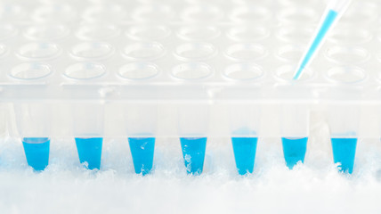Plastic tube, pipette tip filled in with blue reaction mixture and disposable plastic wells....
