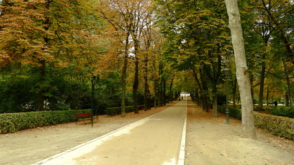 Otoño en el parque