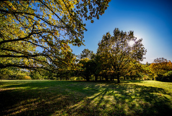 Schattenwurf im Herbst