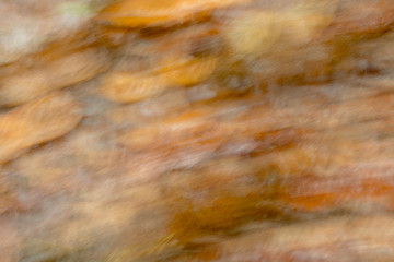 blurred background of bright autumnal red brown colors