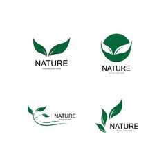 Eco Tree Leaf Logo Template