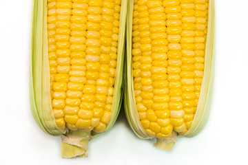 sweet fresh organic corn. healthy food. harvested corn. used to make popcorn, cereal, cornflake, animal food. ingredient of salad for diet. rich in vitamin and fiber