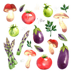 Watercolor vegetables set with wild mushrooms, red and green tomatoes, asparagus, eggplant, parsley and basil