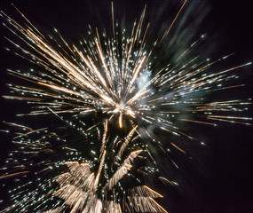 Naklejka premium fireworks in the sky
